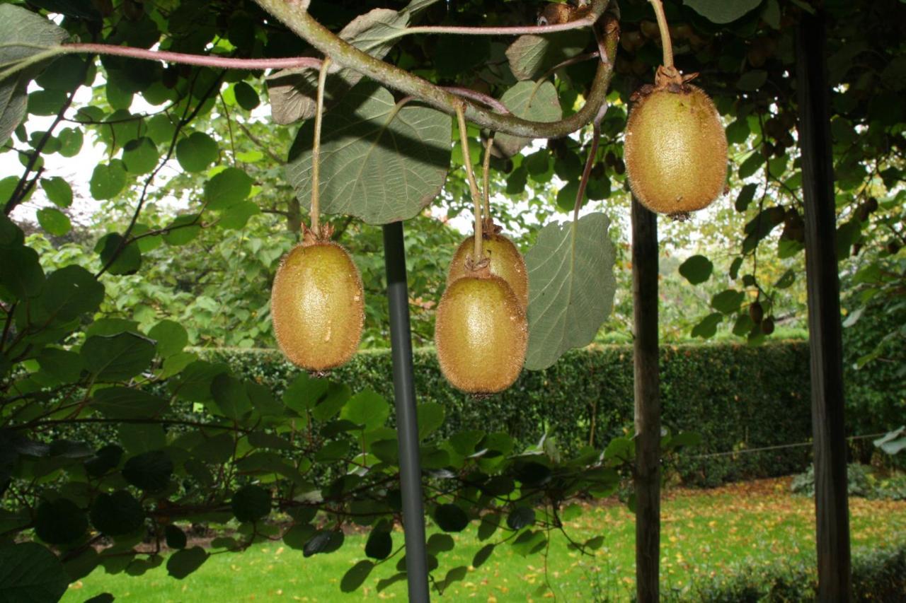 B&B De Sprokkeltuin Beuningen  Bagian luar foto